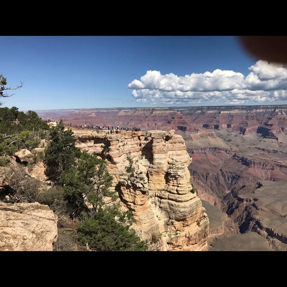 Meet your Posher, Thomas